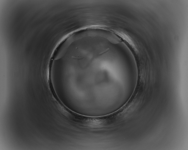 X0000093401420200710121050