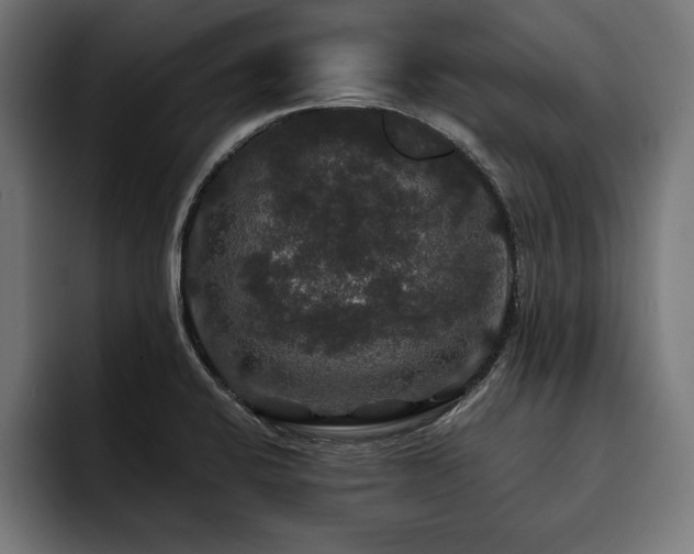 X0000093401424200710121050