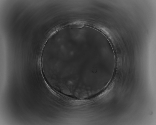 X0000093401425200710121050