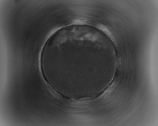 X0000093401427200710121050
