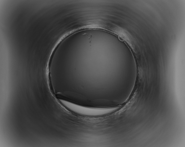 X0000093401428200710121050