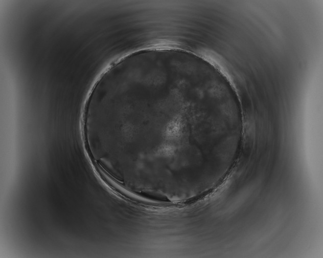 X0000093401429200710121050