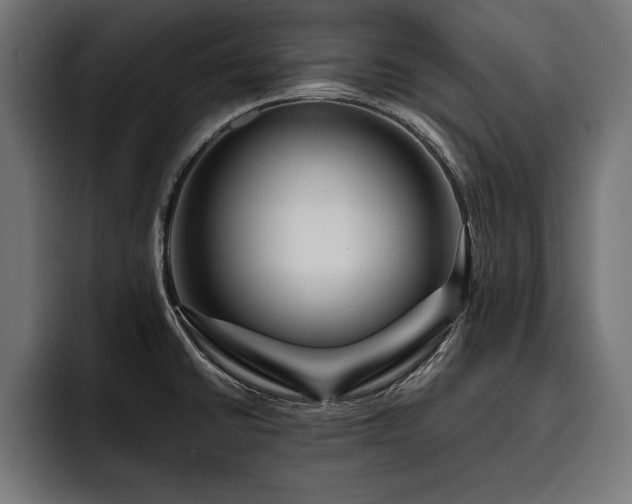 X0000093401430200710121050