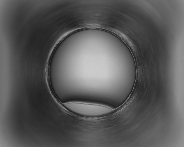 X0000093401432200710121050