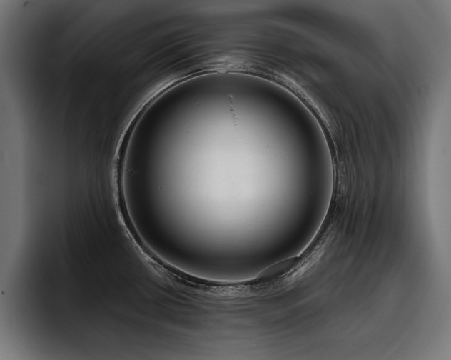 X0000093401434200710121050