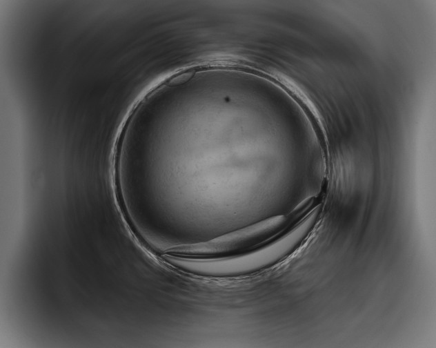 X0000093401437200710121050