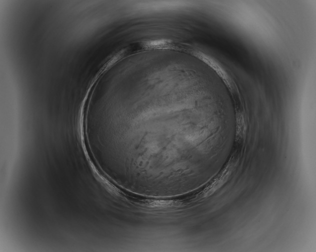 X0000093401439200710121050