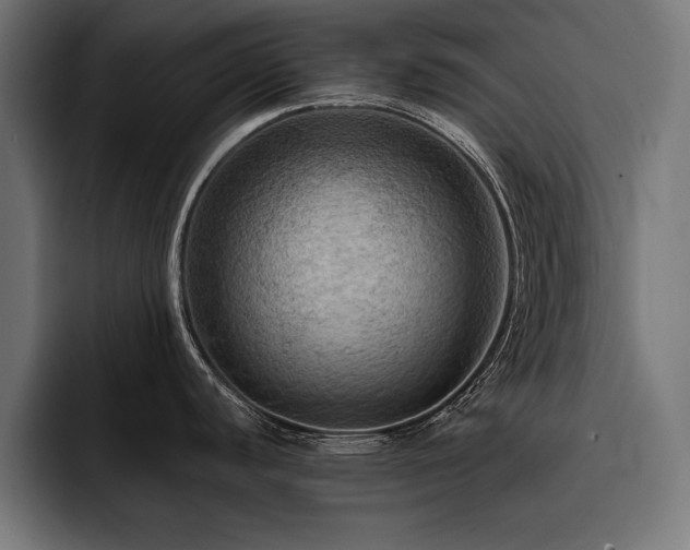 X0000093401440200710121050