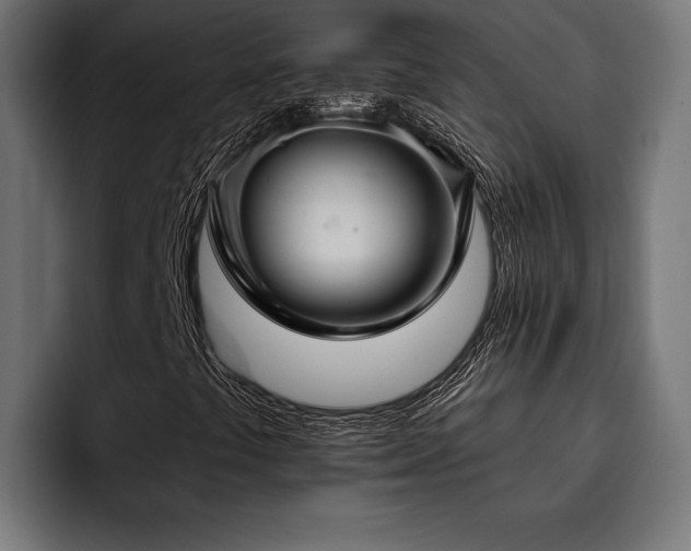 X0000093401441200710121050
