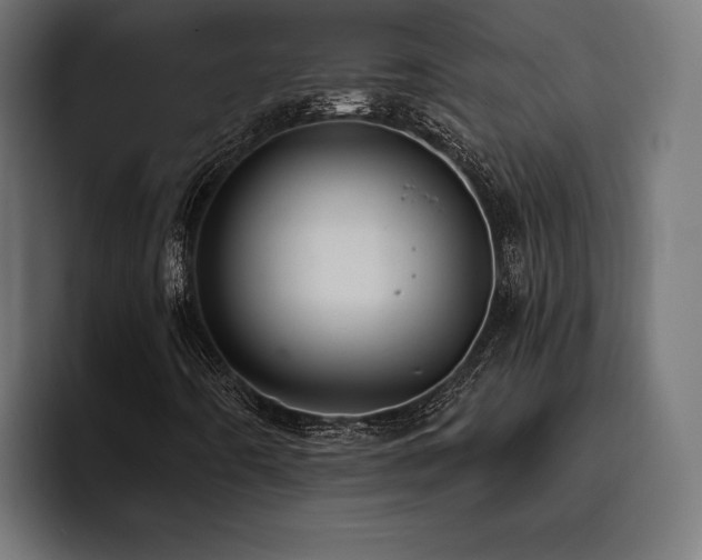 X0000093401442200710121050