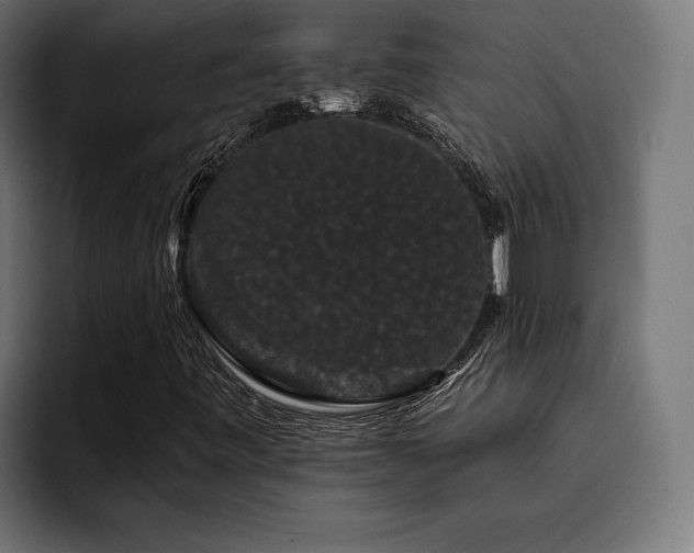 X0000093401443200710121050
