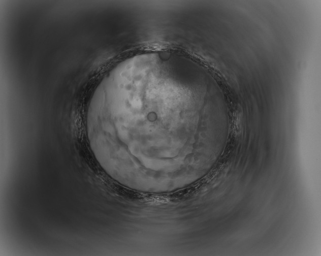 X0000093401446200710121050