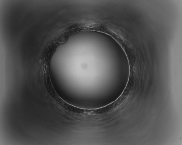 X0000093401447200710121050
