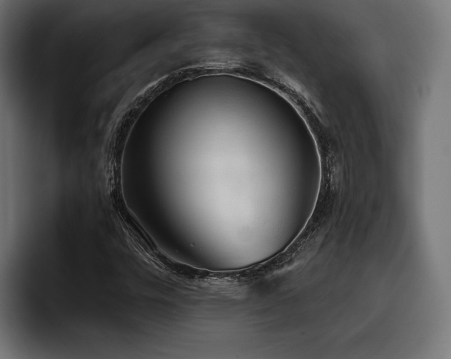 X0000093401448200710121050