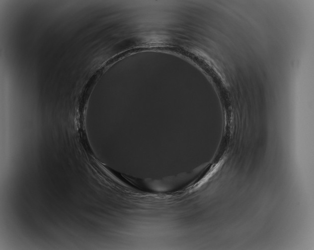 X0000093401449200710121050