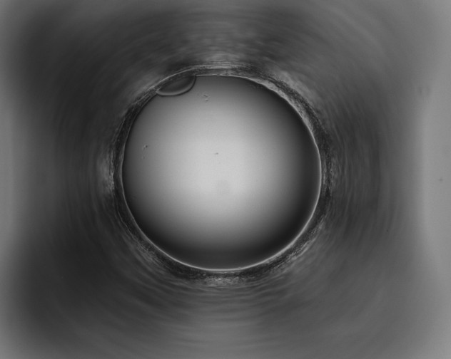 X0000093401451200710121050