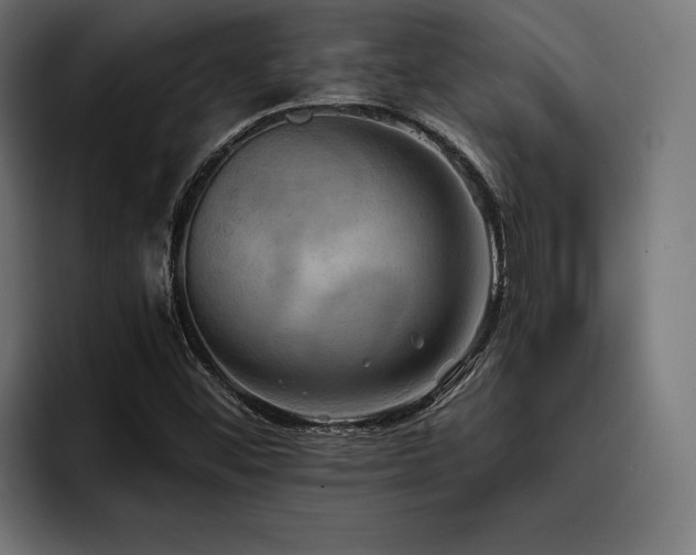 X0000093401452200710121050
