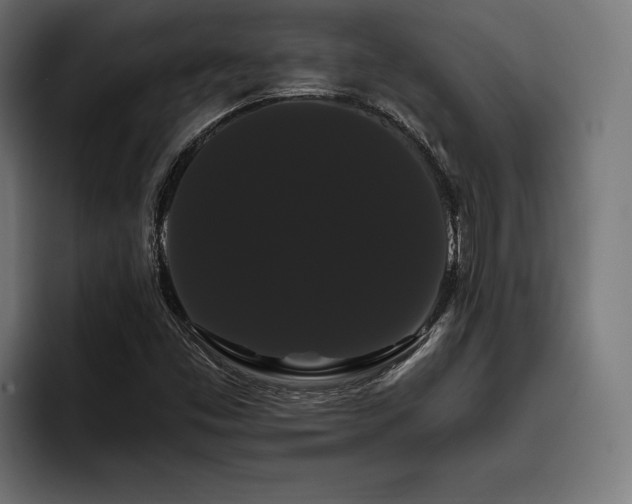 X0000093401453200710121050