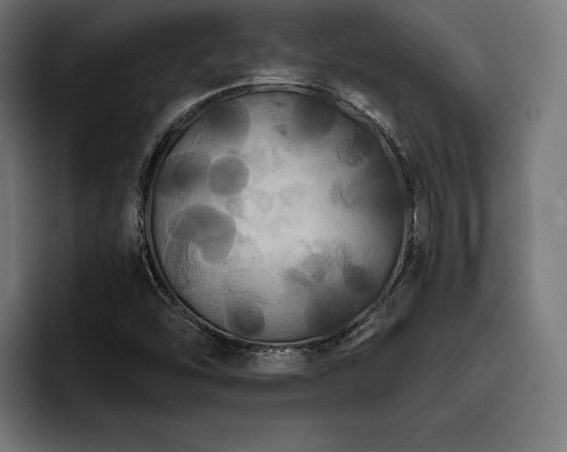 X0000093401454200710121050
