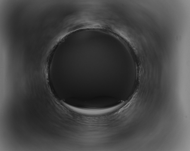 X0000093401455200710121050
