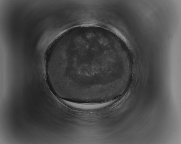 X0000093401456200710121050