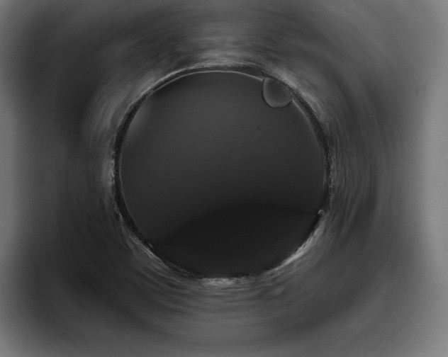 X0000093401459200710121050