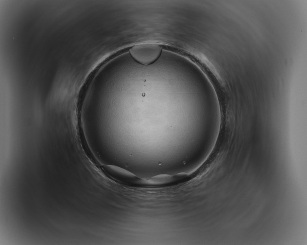 X0000093401460200710121050
