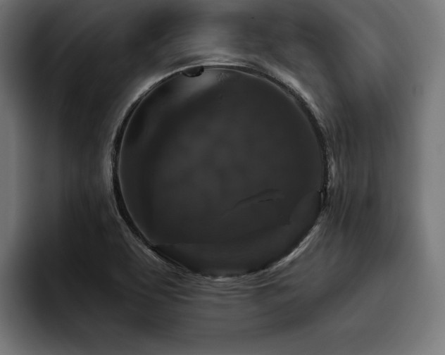 X0000093401463200710121050