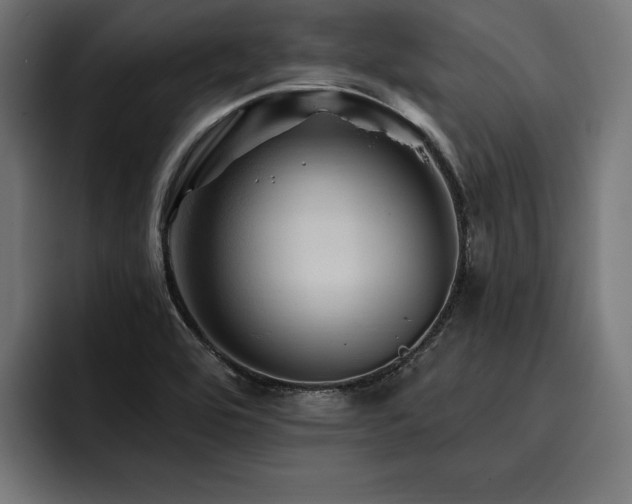 X0000093401464200710121050