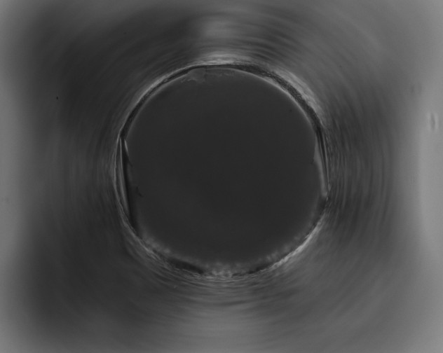 X0000093401465200710121050
