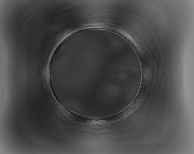 X0000093401466200710121050