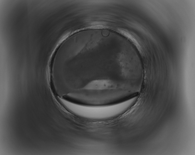 X0000093401467200710121050