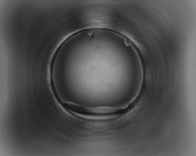X0000093401468200710121050