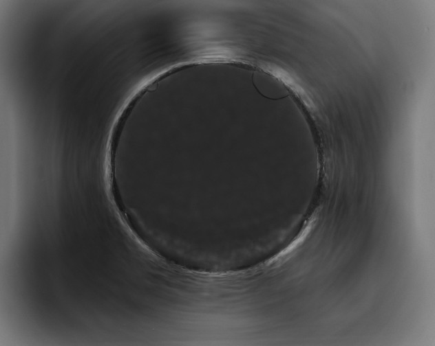 X0000093401469200710121050