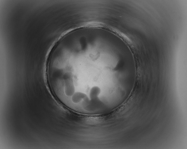 X0000093401470200710121050