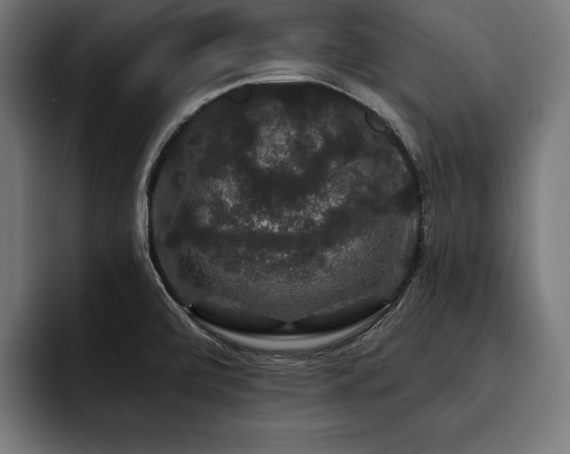 X0000093401472200710121049