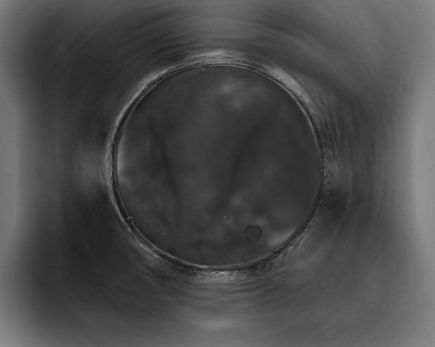 X0000093401474200710121049