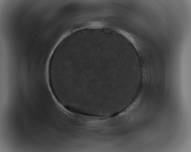 X0000093401475200710121049