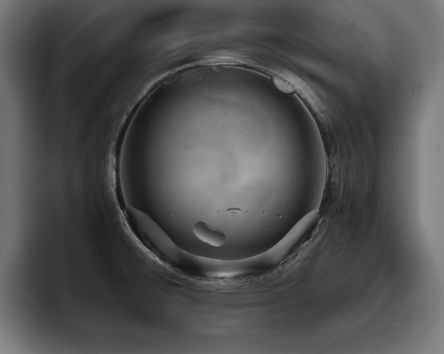 X0000093401476200710121049