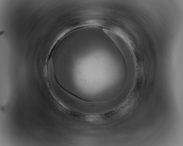 X0000093401477200710121049