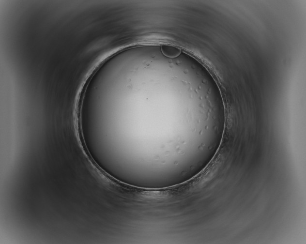 X0000093401478200710121049