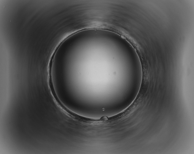 X0000093401479200710121049