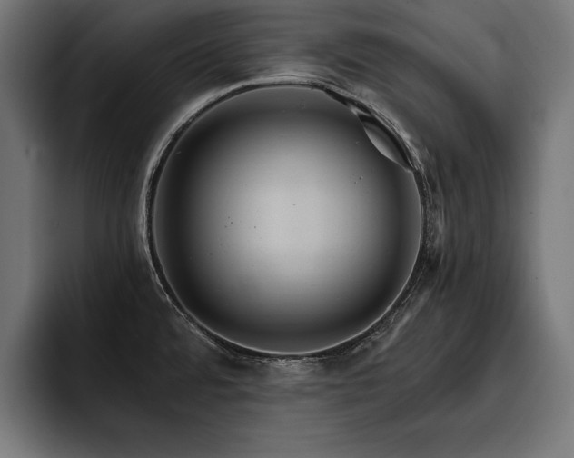 X0000093401480200710121049