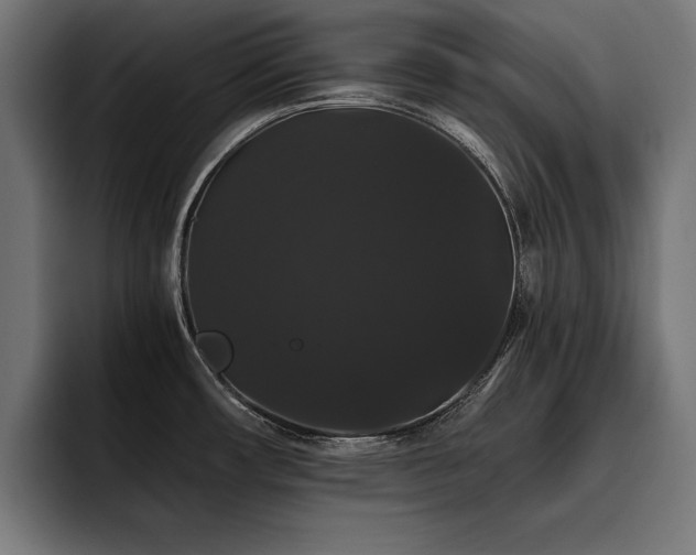 X0000093401482200710121049