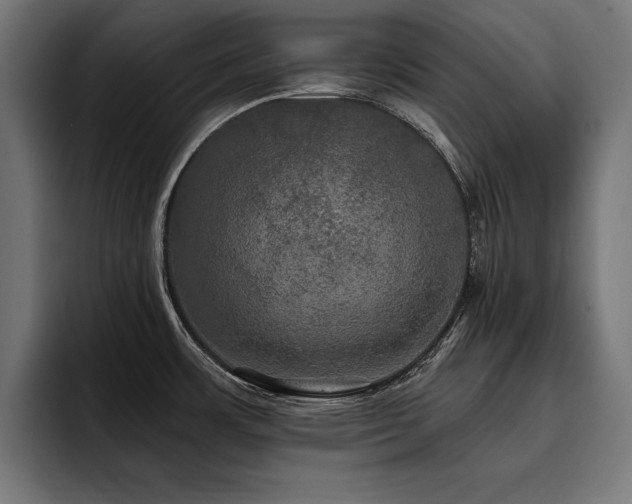 X0000093401483200710121049