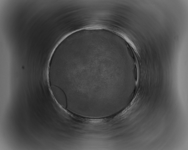 X0000093401484200710121049
