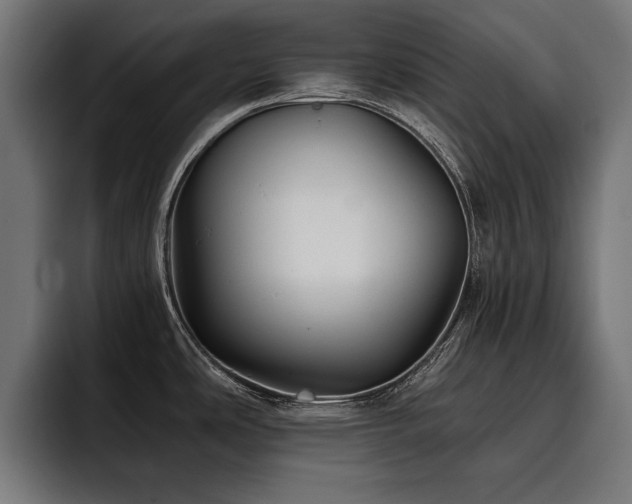 X0000093401486200710121049