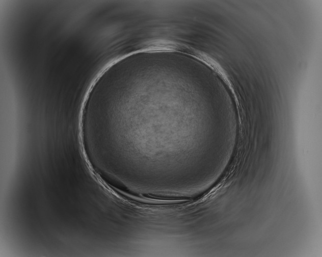 X0000093401488200710121049