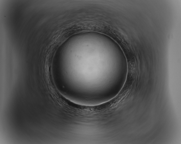 X0000093401489200710121049