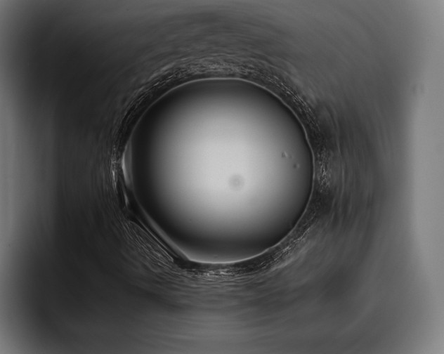 X0000093401490200710121049